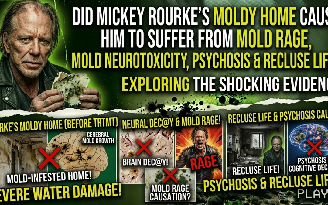 Did Mickey Rourke’s Moldy Home Cause Him to Suffer From Mold Neurotoxicity and Psychosis?