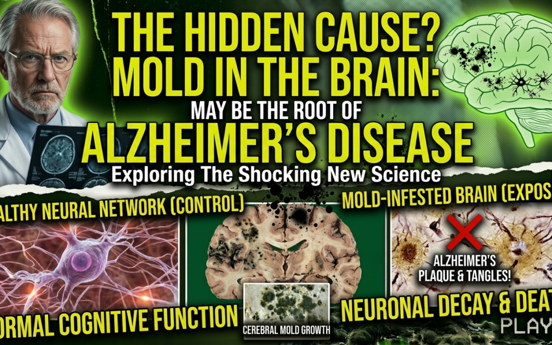 Mold in The Brain May Be the Cause of Alzheimer’s Disease
