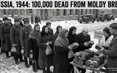 Russia, 1944: 100,000 Dead from Moldy Bread