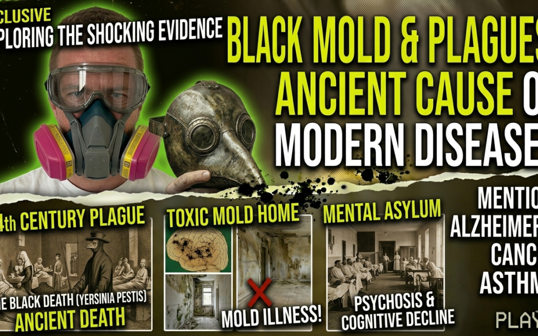 Black Death or Black Mold: The Link Between Ancient Plagues and Toxic Mold Illness