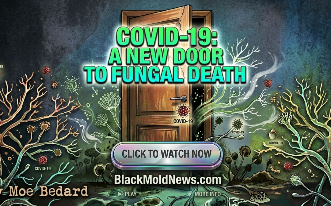 COVID-19:  A New Door to Fungal Death