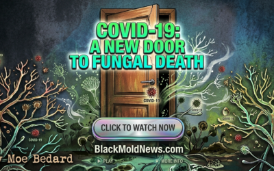 COVID-19:  A New Door to Fungal Death