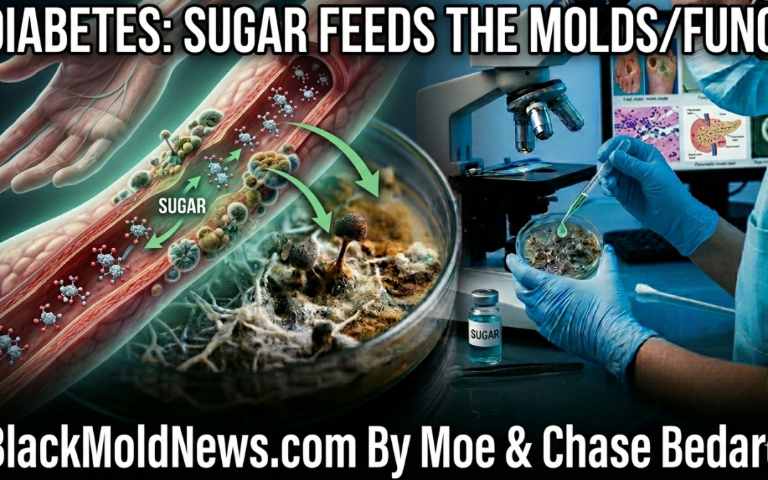 Diabetes: Sugar Feeds the Molds/Fungi