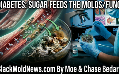 Diabetes: Sugar Feeds the Molds/Fungi